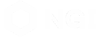 Логотип НГИ